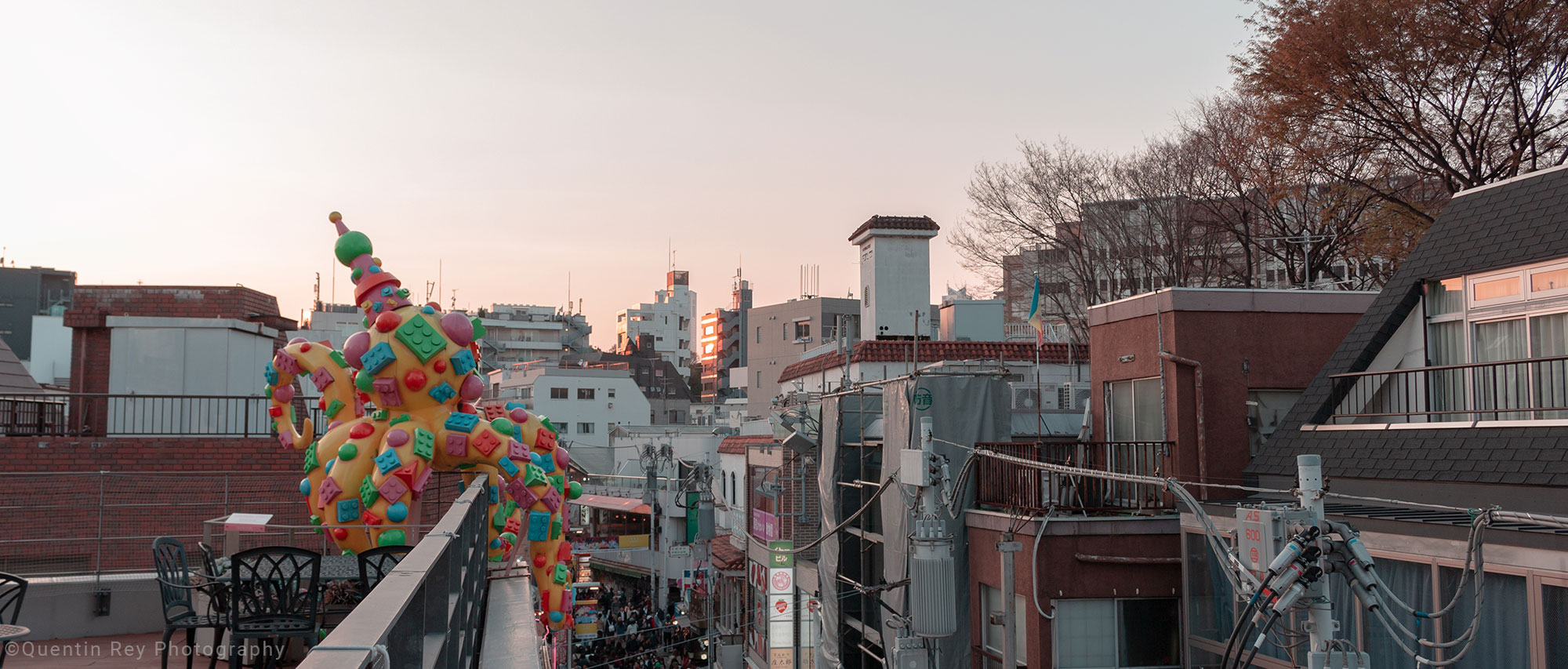Kawasaki & Harajuku