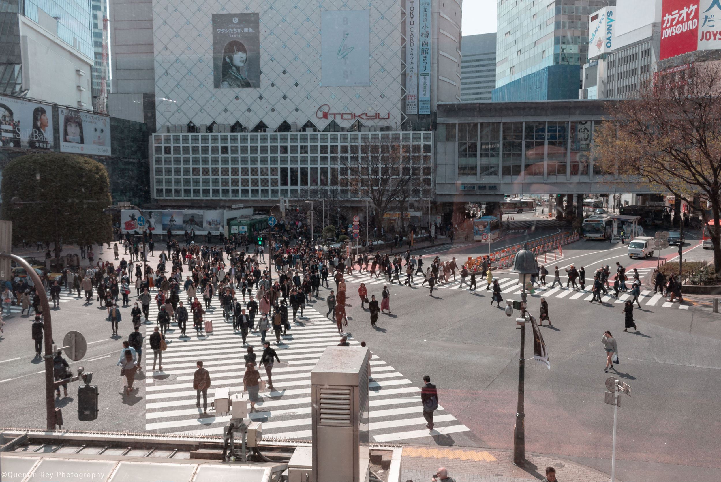 Le célèbre Shibuya Street Crossing vu depuis Starbucks
